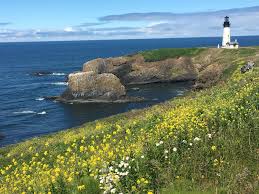 It was incorporated in 1882, though the name dates back to the establishment of. Yaquina Head Lighthouse Newport Or Was Incredibly Gorgeous Oregoncoast
