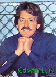 Astros em Revista: EDWIN LUISI O GALÃ DA NOVELA BRASILEIRA MAIS VISTA NO  MUNDO