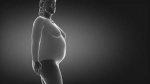 Female Fat Anatomy Stock Videos Royalty Free Female Fat Anatomy Footages Depositphotos Women on the way to lose. obese woman losing weight