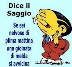 Dice Il Saggio Su Semplicemente Io Citazioni Divertenti Buongiorno Divertente Divertente