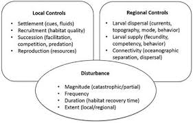 Start studying ecological relationships pogil. Frontiers Exploring The Ecology Of Deep Sea Hydrothermal Vents In A Metacommunity Framework Marine Science