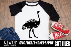 Download Nature X Animal Series 2020 Ostrich Graphic By Ktwop Creative Fabrica PSD Mockup Templates