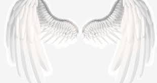 Angel Beautiful White Wings Angel Wings White Wings Wings Png Transparent Clipart Image And Psd File For Free Download Wings Png White Angel Wings Wings Wallpaper