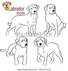 Maybe you would like to learn more about one of these? Dog Labrador Free Labrador Clipart Stunning Free Transparent Png Clipart Images Free Download