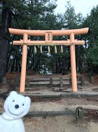 クマ散歩 壱岐神社に品行方正なクマ出没 クマ 神社 壱岐