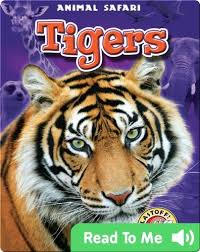 Tigers Animal Safari Kids Story Books Pet Tiger Cat Books