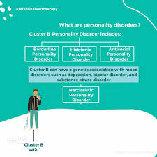 Image result for Cluster B Personality Disorder