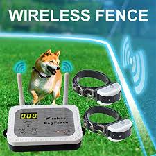 This wireless electric fence for dogs is pretty much like a wired system except that the physical wire has been removed. Top 10 Best Invisible Dog Fence To Buy In 2020 Detailed Reviews Wireless Dog Fence
