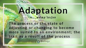 A global shift in the climate leads to the loss of habitats of several plants and animals. Adaptation Definition And Examples Biology Online Dictionary