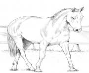 You can use our amazing online tool to color and edit the following horse herd coloring pages. Herd Of Horses Coloring Pages Printable