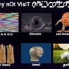 We have a massive amount of if you're looking for the best surreal desktop backgrounds then wallpapertag is the place to be. Https Encrypted Tbn0 Gstatic Com Images Q Tbn And9gcs8sm51wo2kd4oebifqwpwrqb23e Mgfnbwipzt3s8 Usqp Cau