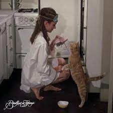 Maybe you would like to learn more about one of these? Breakfast At Tiffany S Cat Facebook