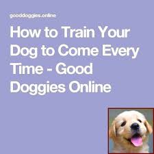 Pin On Awesome Dogs