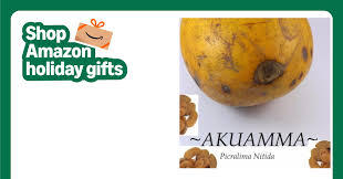 Image result for Picralima nitida