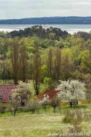 Vonyarcvashegy Hungary Hungary Balaton Budapest