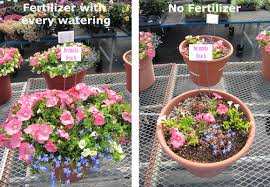 Maybe you would like to learn more about one of these? Abcs Of Fertilizer Proven Winners