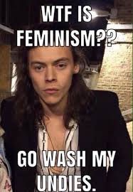 Make your own images with our meme generator or animated gif maker. Misogynistic Harry Meme Harry Styles Memes Feminism Meme One Direction Memes