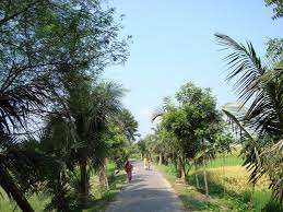 Check spelling or type a new query. Village Road At Nator Mapio Net
