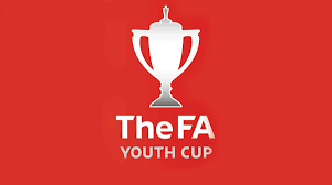 Emirates fa cup new 2020 logo download free vector. Fa Youth Cup Bromley Football Club