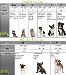 dog clothes size chart pet it dog apparel canada dog ideas