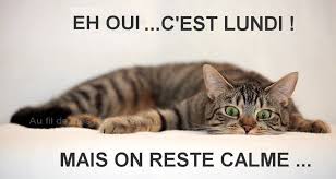 Résultat de recherche d'images pour "c'est lundi humour"