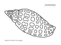 Printable Seashell Stencils Sally Lee By The Sea Nautical Cottage Blog 1 New Article Coloring Pages Sea Shells Easy Coloring Pages