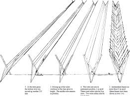The Tatura Trellis Construction Tatura Trellis Climbing Hydrangea Horticulture