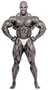 Ronniecoleman Png 431 800 Ronnie Coleman Workout Ronnie Coleman Black Bodybuilder