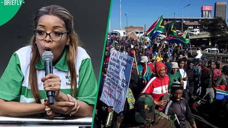 Nothing Will Move":Jacinta Ngobese-Zuma Gives Government 3 Months or Face 'Real' National Shutdown - Briefly.co.za