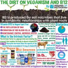 Nutrition Vitamin B12 Vegan Nutrition Vegan B12