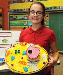 You can make an animal cell model using basic materials that can be purchased from a craft supply store. Ollrcs Students Make Animal And Plant Cell Models Houghton Lake Resorter