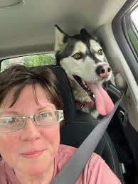 Lost dog found in Cedar Lake