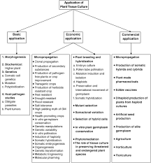 Check spelling or type a new query. Plant Cell An Overview Sciencedirect Topics