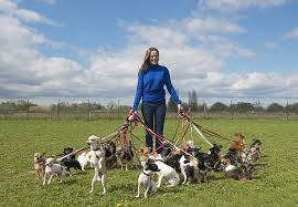 Search in location pet sitter jobs job ads. Dog Walking Jobs In Edinburgh Tailster Appjobs