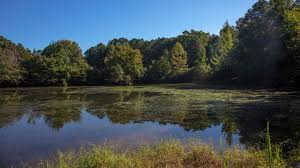 Spring hill park chapel hill, nc 27.1 miles w. Laurel Hills Park Raleighnc Gov