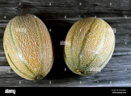 Image result for Cucumis melo