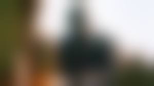 The Video Dead | Rotten Tomatoes