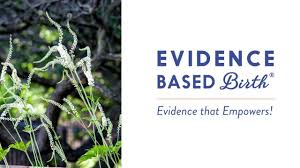 Black And Blue Cohosh To Induce Labor Safe Natural Labor Induction Series Blue Cohosh Or Black Cohosh Natural Labour Induction Labor Natural Labour Induction