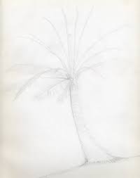 In one of the previous instructions we showed how to draw a tree, and today we want to show you how to draw a palm tree. How To Draw Palm Trees
