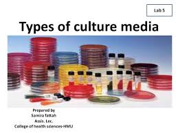 Types Of Culture Media