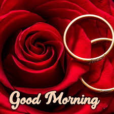 We did not find results for: Share Stunning Good Morning Flowers Images With Your Partner Good Morning Images Quotes Wishes Messages Greetings Ecards