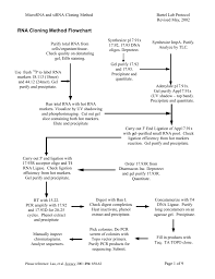 Rna Cloning Method Flowchart