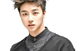 Ikon Tiny Kpop Idol Profile Ikon Kpop Idol Kpop Ikon facts, ikon ideal type. pinterest