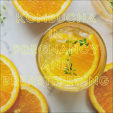 Kombucha In Pregnancy And Breastfeeding Is It Safe Morgan Bettini
