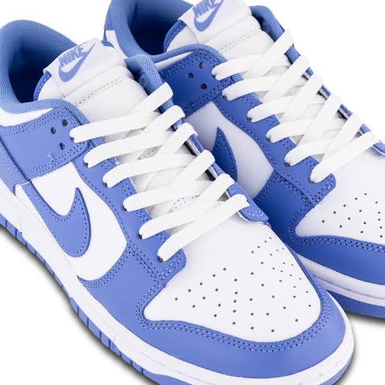 Nike Dunk White Sneakers Low Top Classics Blue Polar Logo Retro Trainers  Shoes | eBay