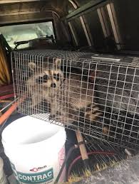 The mission of knock'em dead pest control is to increase the standard of living and the quality of life for clients, employees and the community through safe, dependable pest control new brunswick, nj. Bnjgdciy T9tym