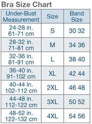 Bra Size By Band And Cup Google Search Bra Size Charts