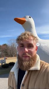 Jack Tedesco Long Island