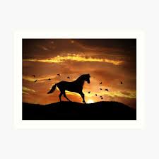Ich habe viel zeit daran verbracht um die farben passend auszusuchen und der vorlage weitesgehend gleich zu. Galoppierendes Pferd Im Sonnenuntergang Kunstdruck Von Lazyl Redbubble