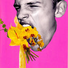 perryfex's collection